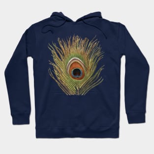 Gorgeous peacock feather with beautiful jewel tone colors Hoodie